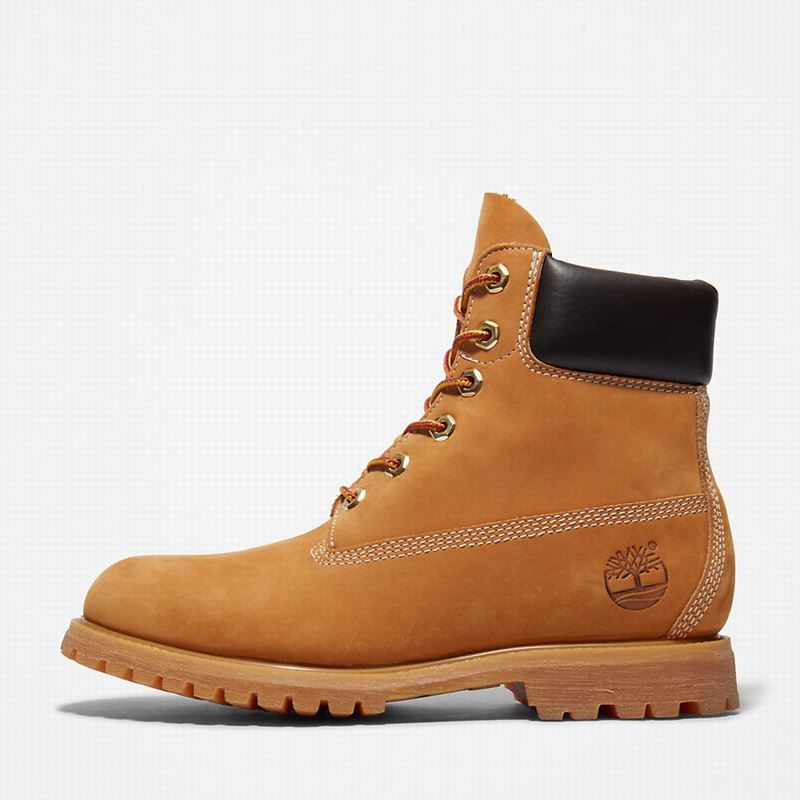 Timberland Premium 6-Inch Vodootporne Čizme Žute | 81066874