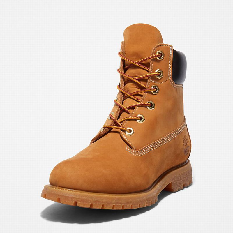 Timberland Premium 6-Inch Vodootporne Čizme Žute | 81066874
