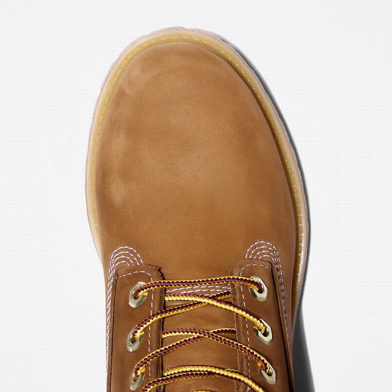 Timberland Premium 6-Inch Vodootporne Čizme Smeđe | 93850843