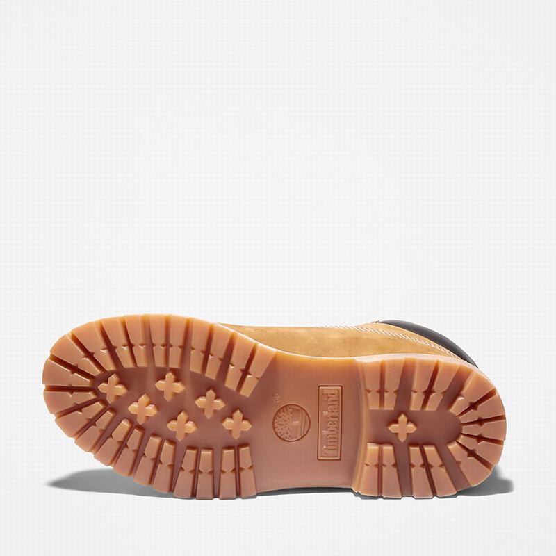 Timberland Premium 6-Inch Vodootporne Čizme Smeđe | 93850843