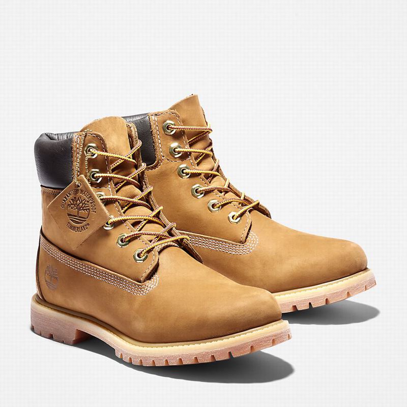 Timberland Premium 6-Inch Vodootporne Čizme Smeđe | 93850843