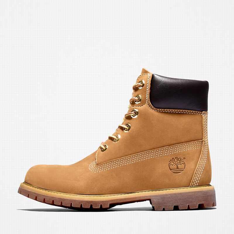Timberland Premium 6-Inch Vodootporne Čizme Smeđe | 93850843