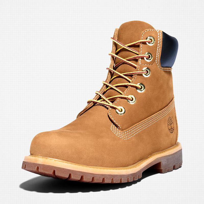 Timberland Premium 6-Inch Vodootporne Čizme Smeđe | 93850843
