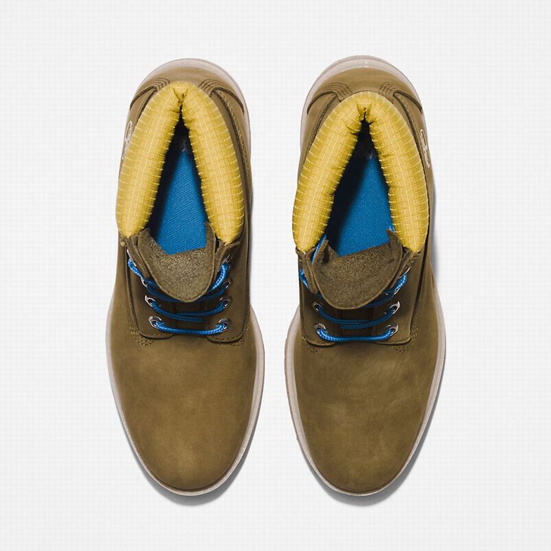 Timberland Premium 6 Inch Čizme Maslinasto Zelene | 68784130