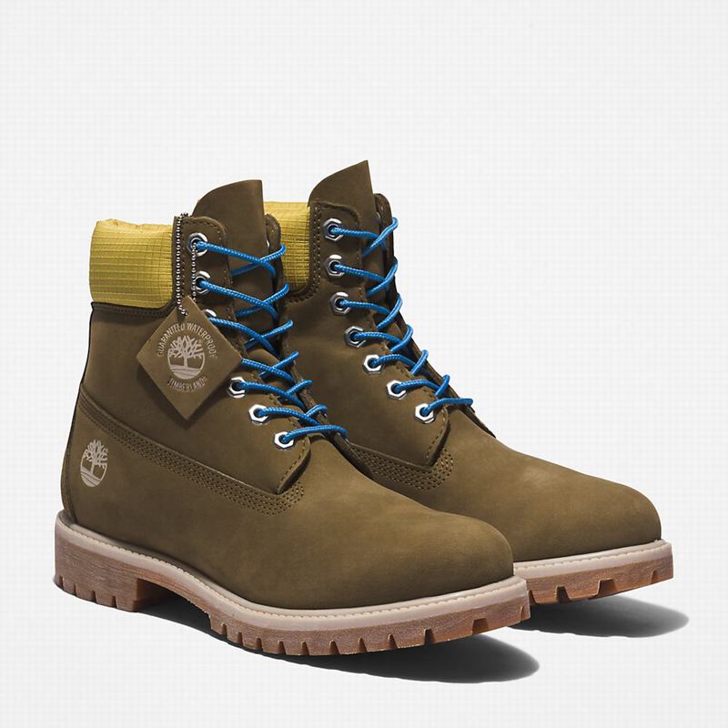 Timberland Premium 6 Inch Čizme Maslinasto Zelene | 68784130