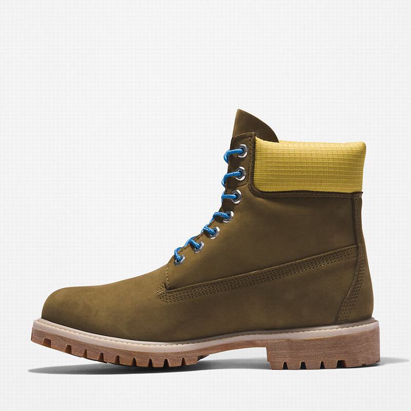 Timberland Premium 6 Inch Čizme Maslinasto Zelene | 68784130