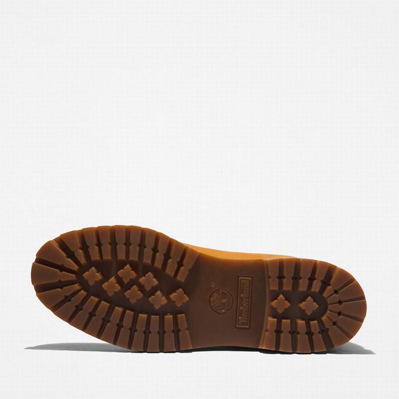 Timberland Premium 6 Inch Čizme Plave | 90253099