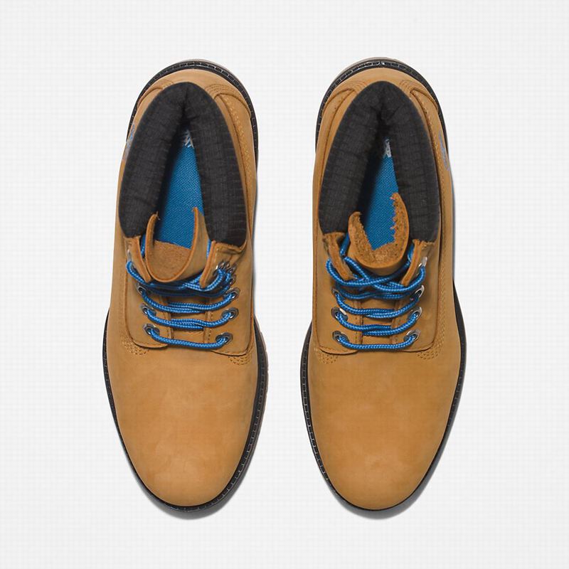 Timberland Premium 6 Inch Čizme Smeđe | 5183469
