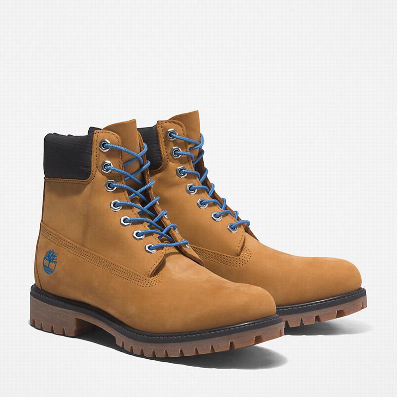 Timberland Premium 6 Inch Čizme Smeđe | 5183469
