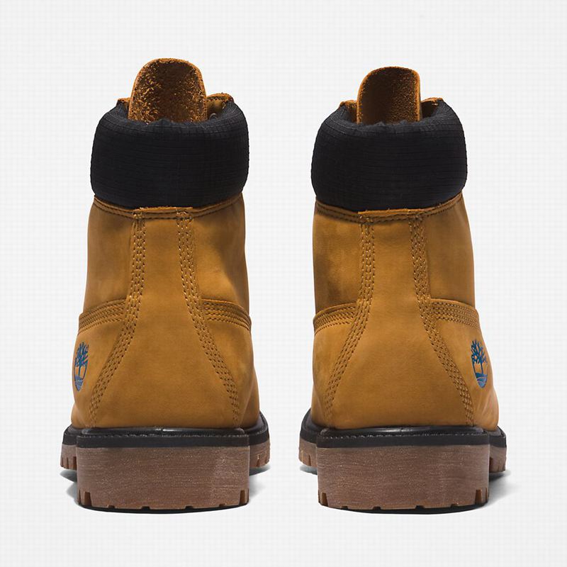 Timberland Premium 6 Inch Čizme Smeđe | 5183469