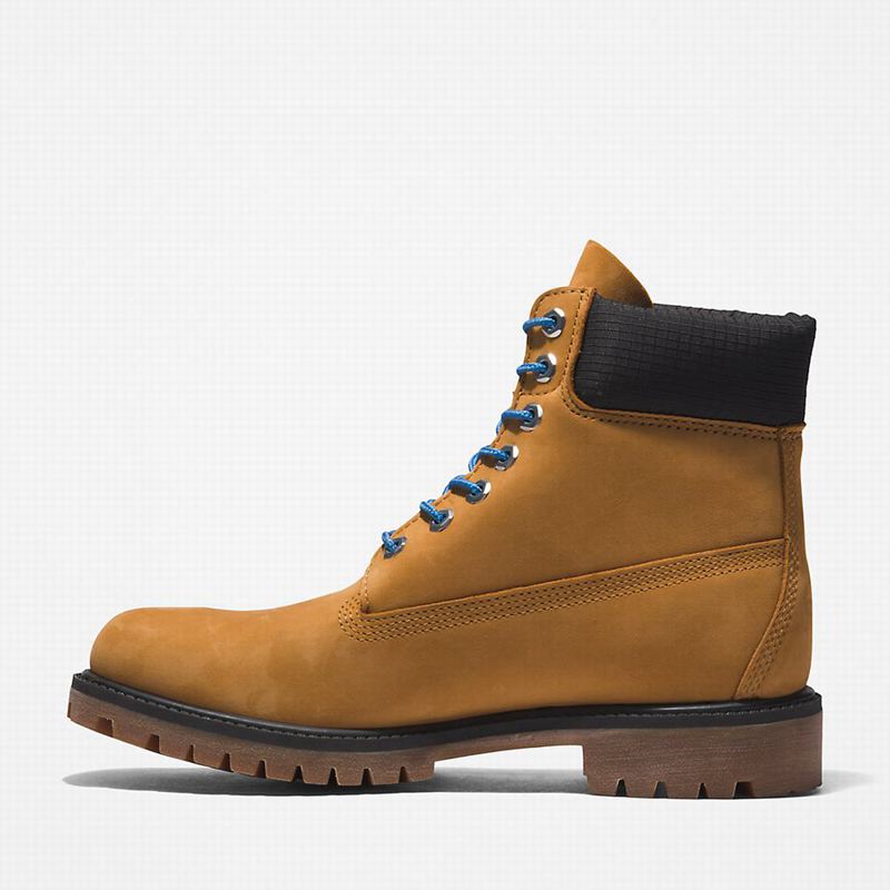 Timberland Premium 6 Inch Čizme Smeđe | 5183469