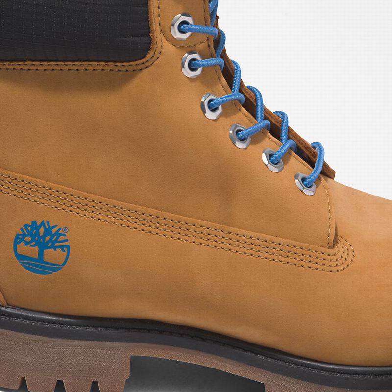 Timberland Premium 6 Inch Čizme Smeđe | 5183469