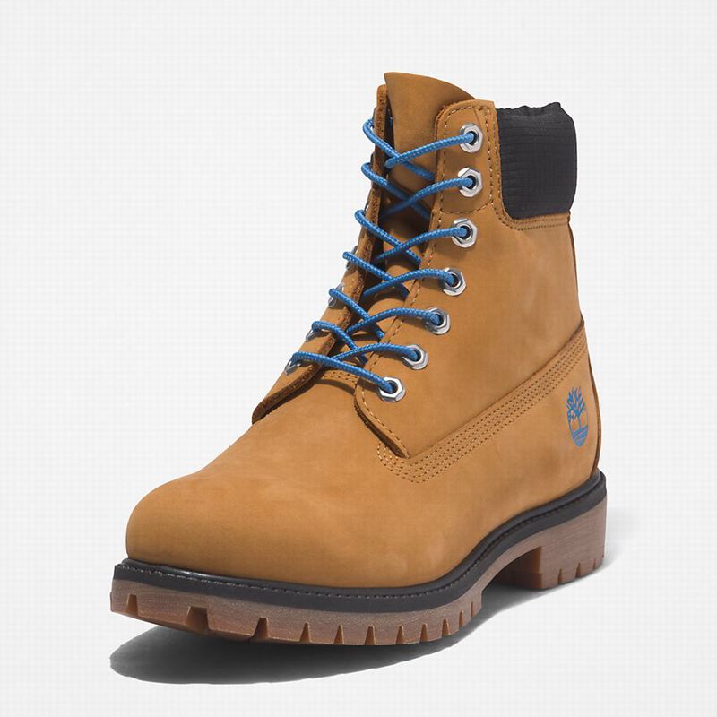 Timberland Premium 6 Inch Čizme Smeđe | 5183469