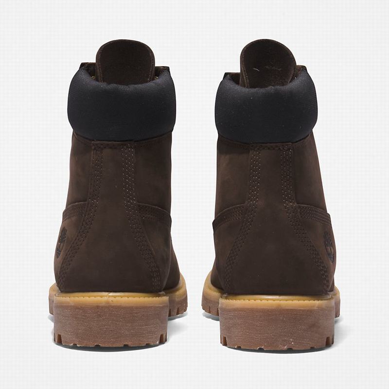 Timberland Premium 6 Inch Čizme Smeđe | 61605175