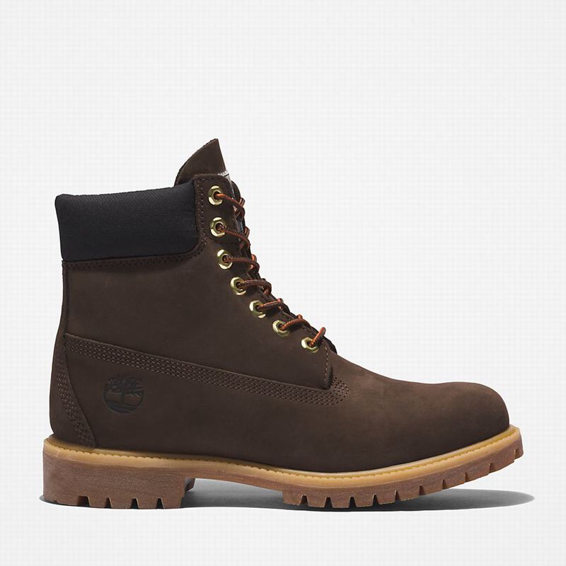 Timberland Premium 6 Inch Čizme Smeđe | 61605175