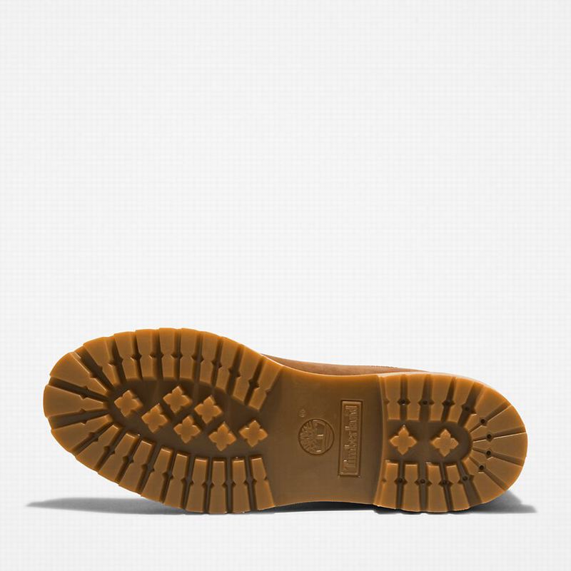Timberland Premium 6 Inch Čizme Smeđe | 70479724