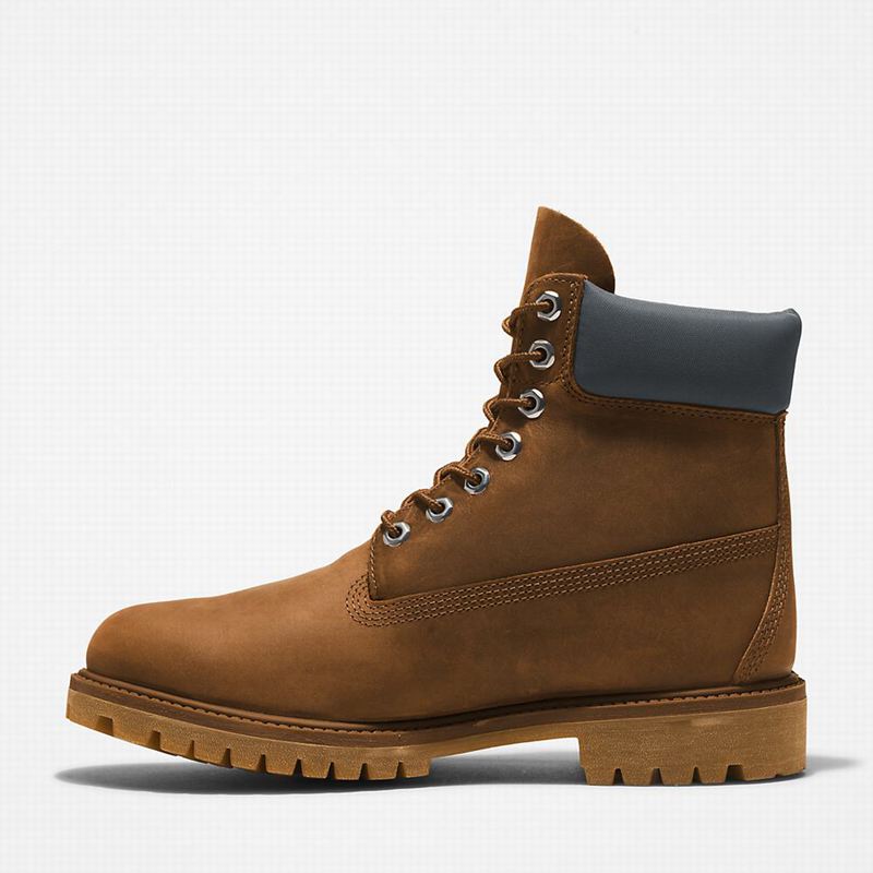 Timberland Premium 6 Inch Čizme Smeđe | 70479724