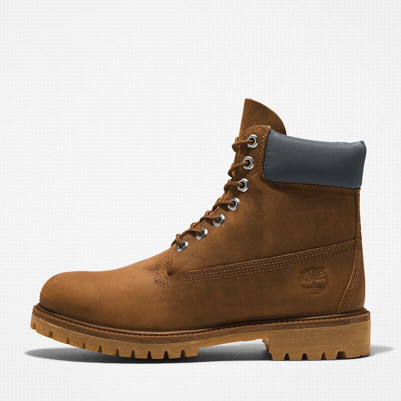 Timberland Premium 6 Inch Čizme Smeđe | 70479724