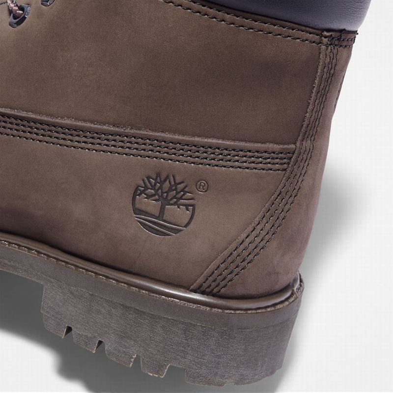 Timberland Premium 6 Inch Čizme Smeđe | 94892548