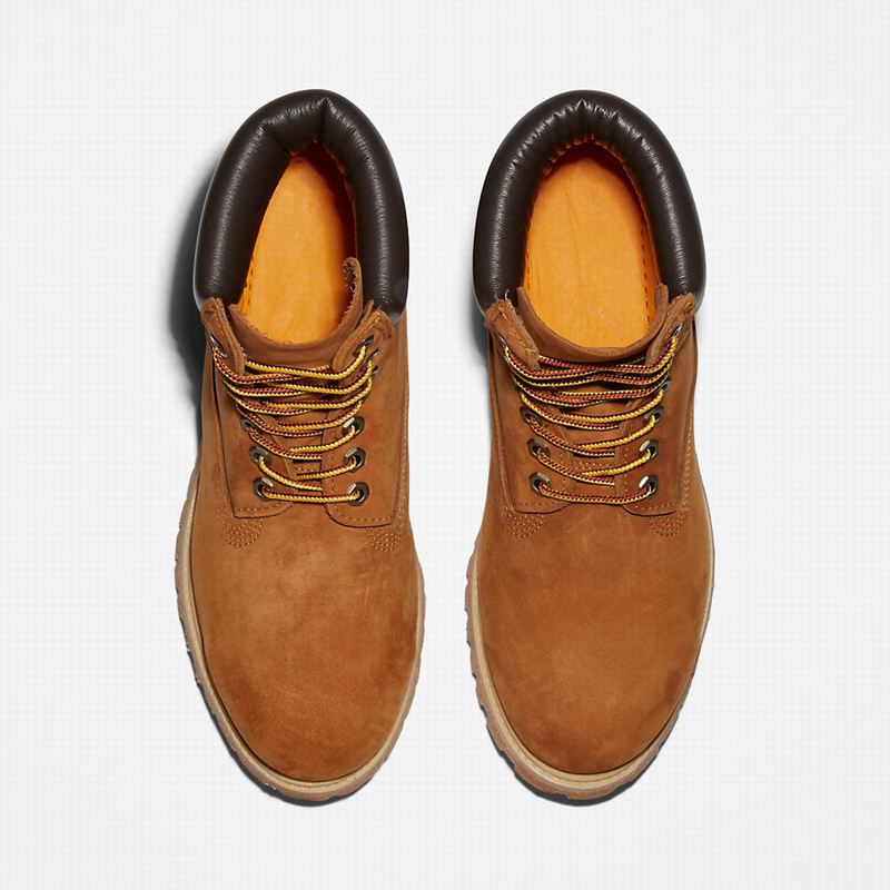 Timberland Premium 6 Inch Čizme Smeđe | 9533135