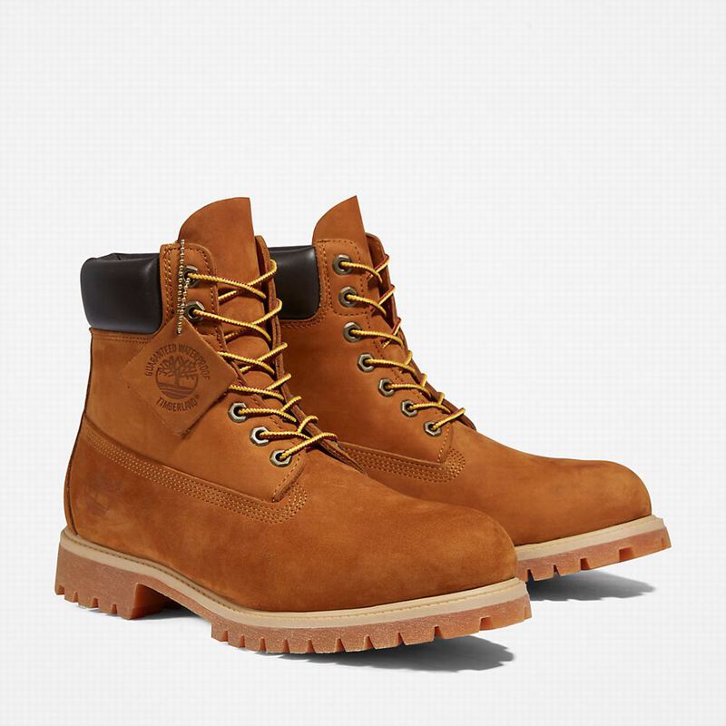 Timberland Premium 6 Inch Čizme Smeđe | 9533135