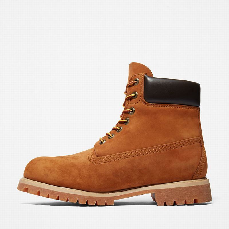 Timberland Premium 6 Inch Čizme Smeđe | 9533135