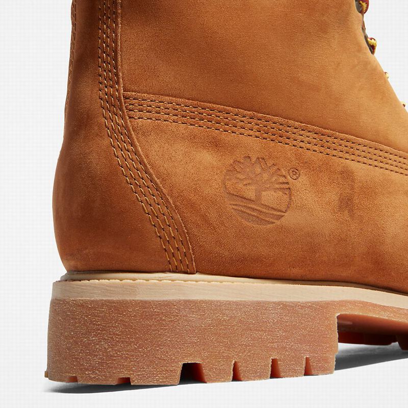 Timberland Premium 6 Inch Čizme Smeđe | 9533135