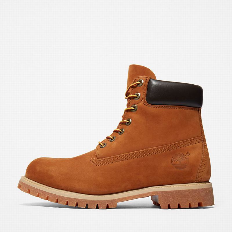Timberland Premium 6 Inch Čizme Smeđe | 9533135