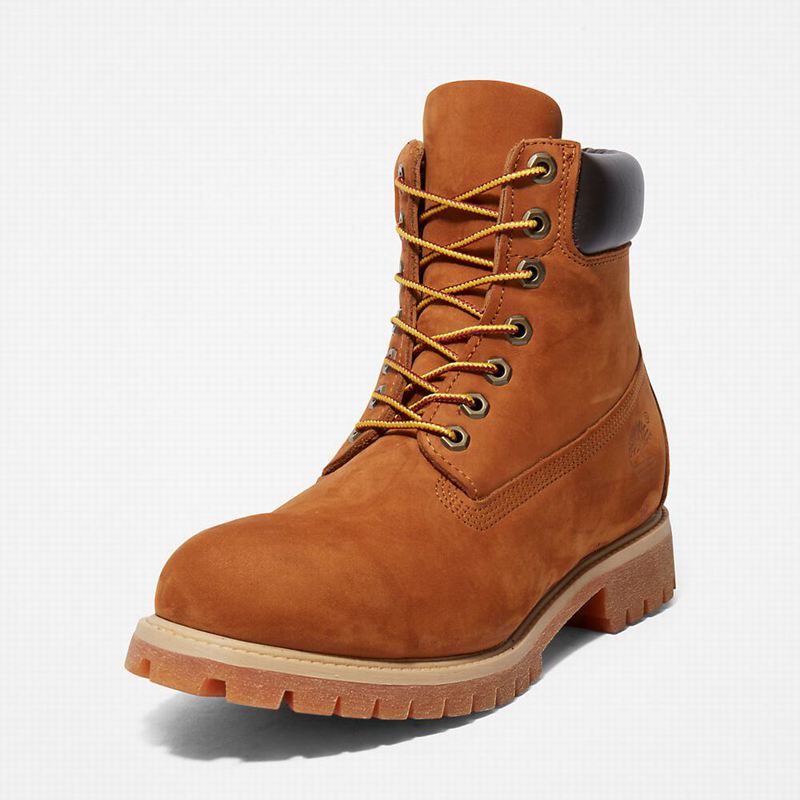 Timberland Premium 6 Inch Čizme Smeđe | 9533135