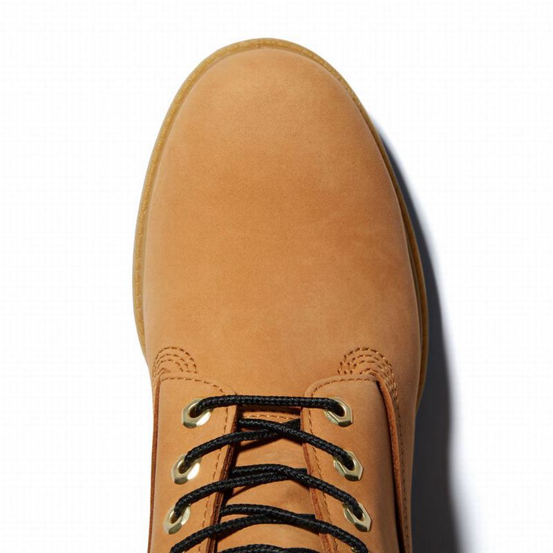 Timberland Premium Extra Warm 6 Inch Čizme Žute | 9737943
