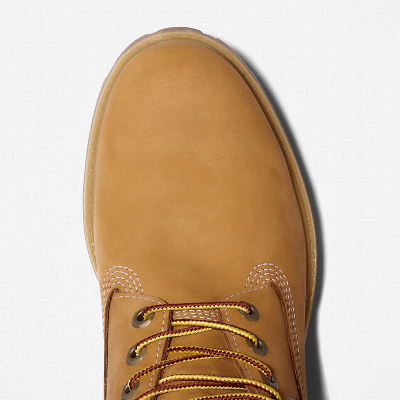 Timberland Premium Logo 6 Inch Čizme Žute | 98854147