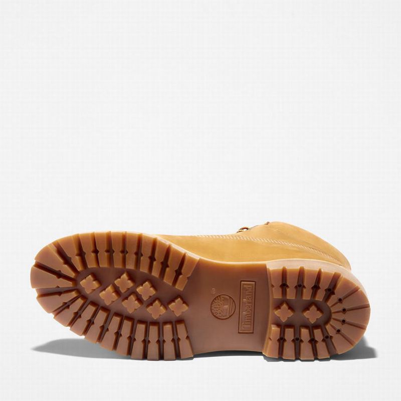 Timberland Premium Logo 6 Inch Čizme Žute | 98854147
