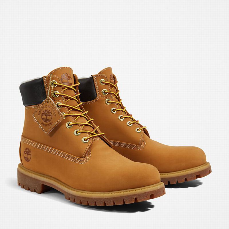 Timberland Premium Warm-lined 6 Inch Zimske Čizme Žute | 34065297