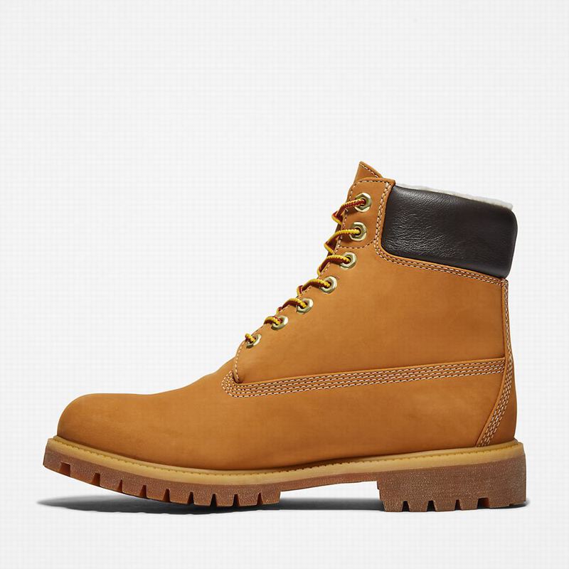 Timberland Premium Warm-lined 6 Inch Zimske Čizme Žute | 34065297