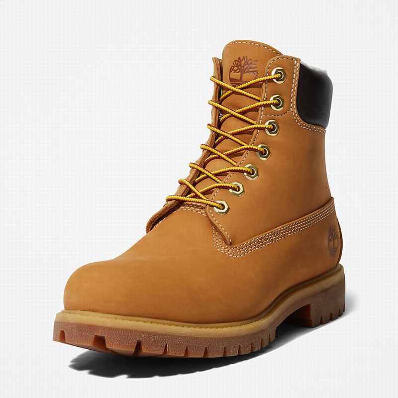 Timberland Premium Warm-lined 6 Inch Zimske Čizme Žute | 34065297