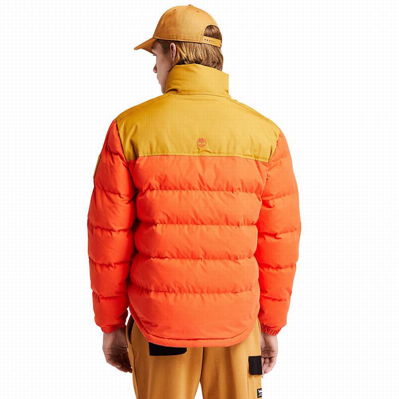 Timberland Progressive Utility Donje Jakne Narančaste | 58669594