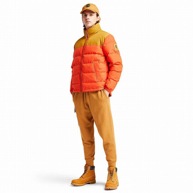 Timberland Progressive Utility Donje Jakne Narančaste | 58669594