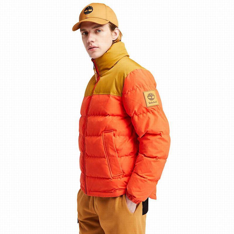 Timberland Progressive Utility Donje Jakne Narančaste | 58669594