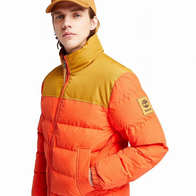 Timberland Progressive Utility Donje Jakne Narančaste | 58669594