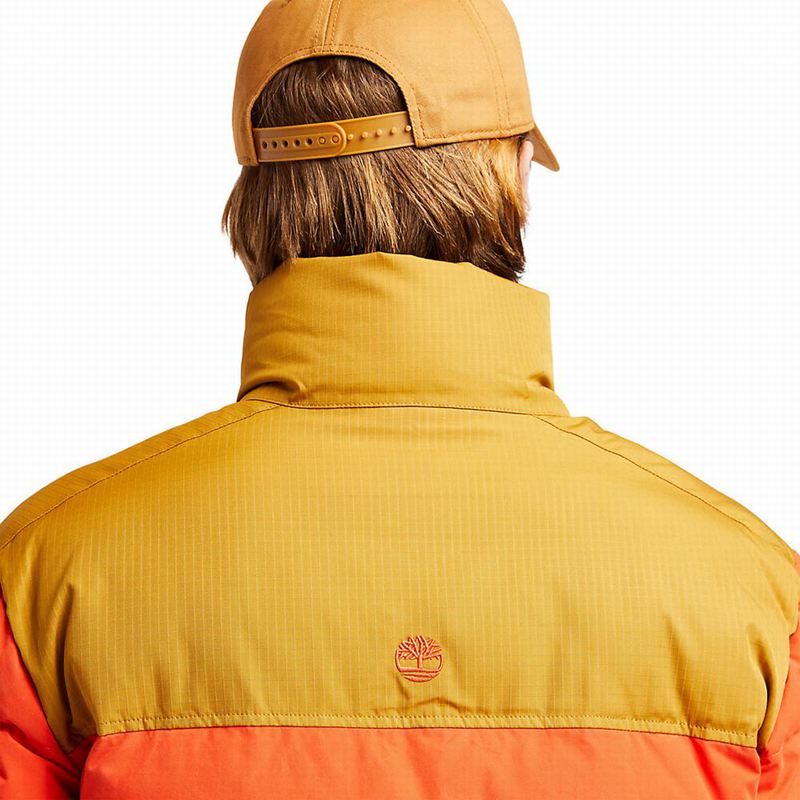 Timberland Progressive Utility Donje Jakne Narančaste | 58669594