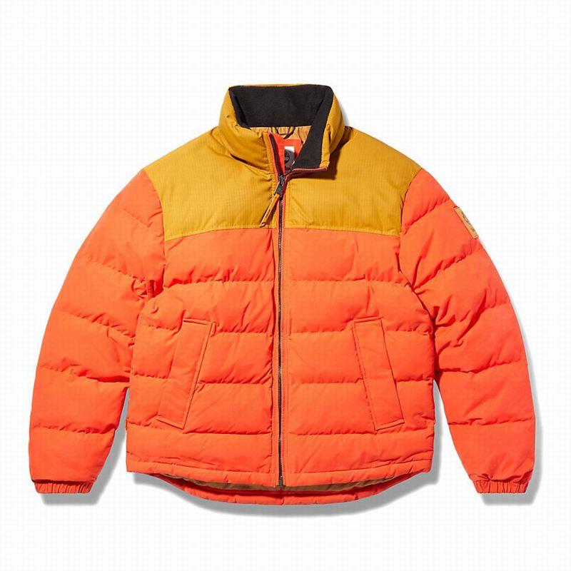 Timberland Progressive Utility Donje Jakne Narančaste | 58669594