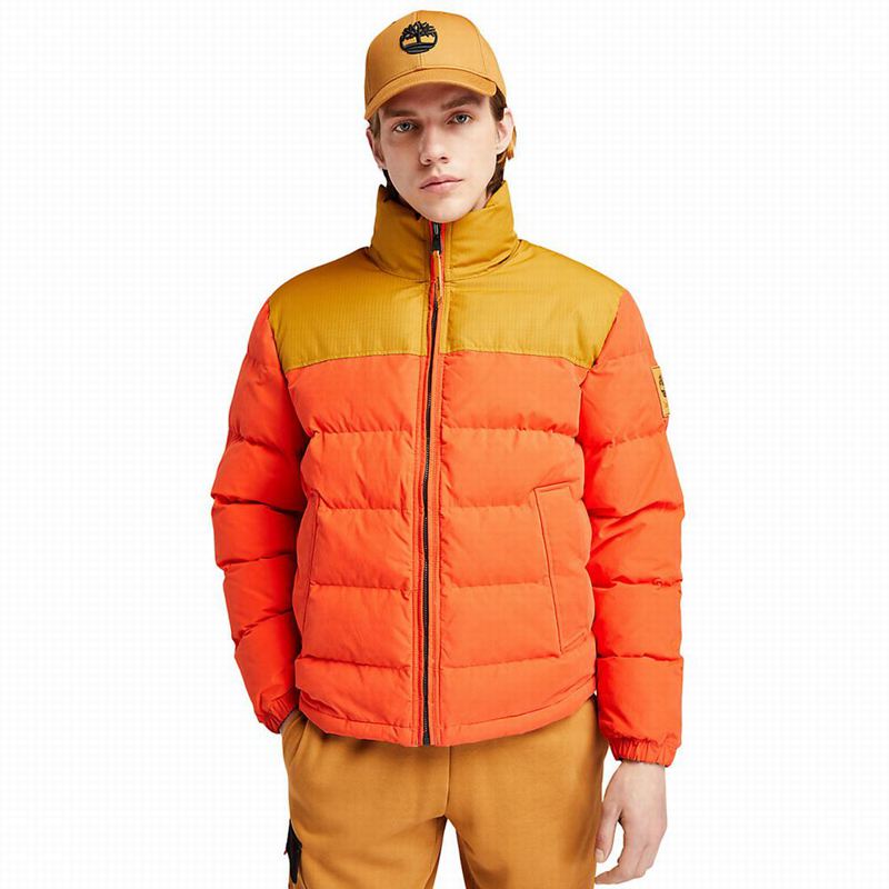 Timberland Progressive Utility Donje Jakne Narančaste | 58669594