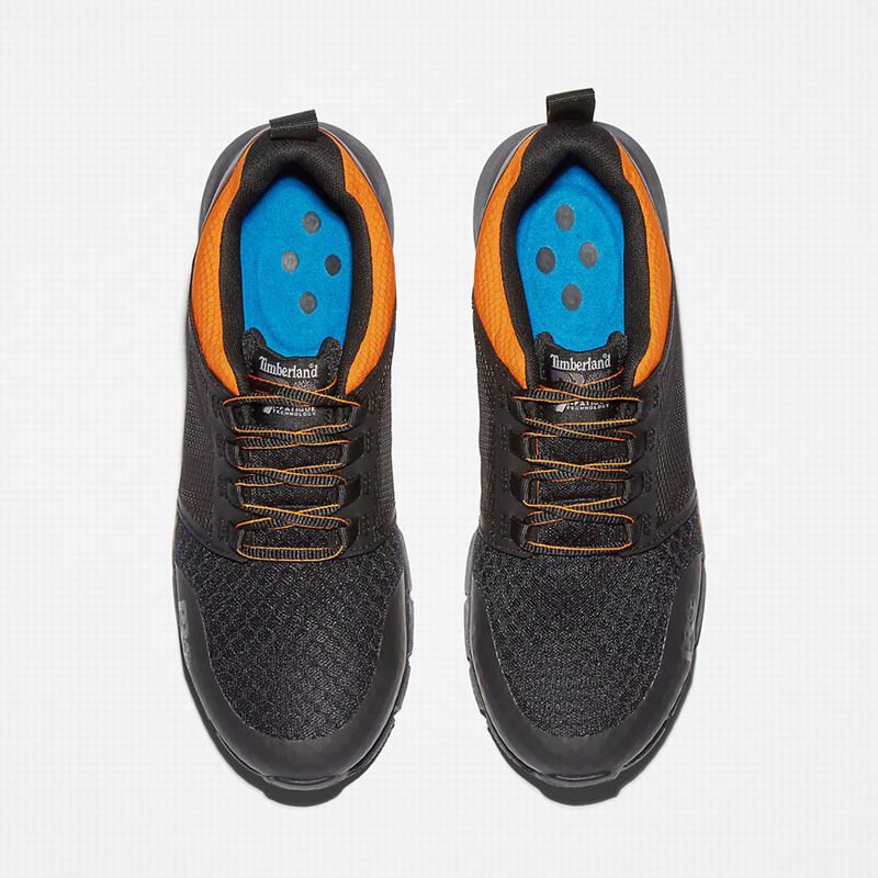 Timberland Radius Alloy-Toe Radne Cipele Crne | 54870175
