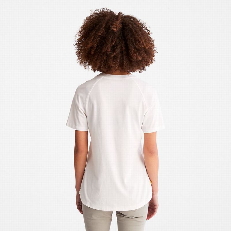 Timberland Raglan-sleeve Logo Majice Bijele | 51437380