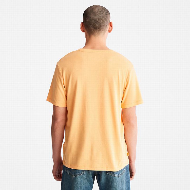 Timberland Raglan-sleeve Logo Majice Narančaste | 30266006