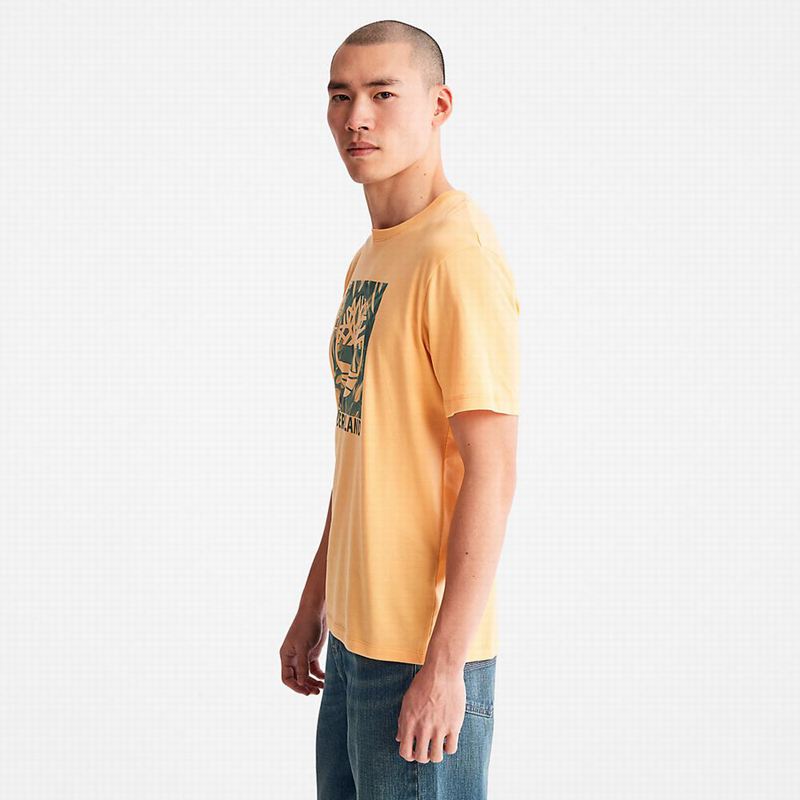 Timberland Raglan-sleeve Logo Majice Narančaste | 30266006