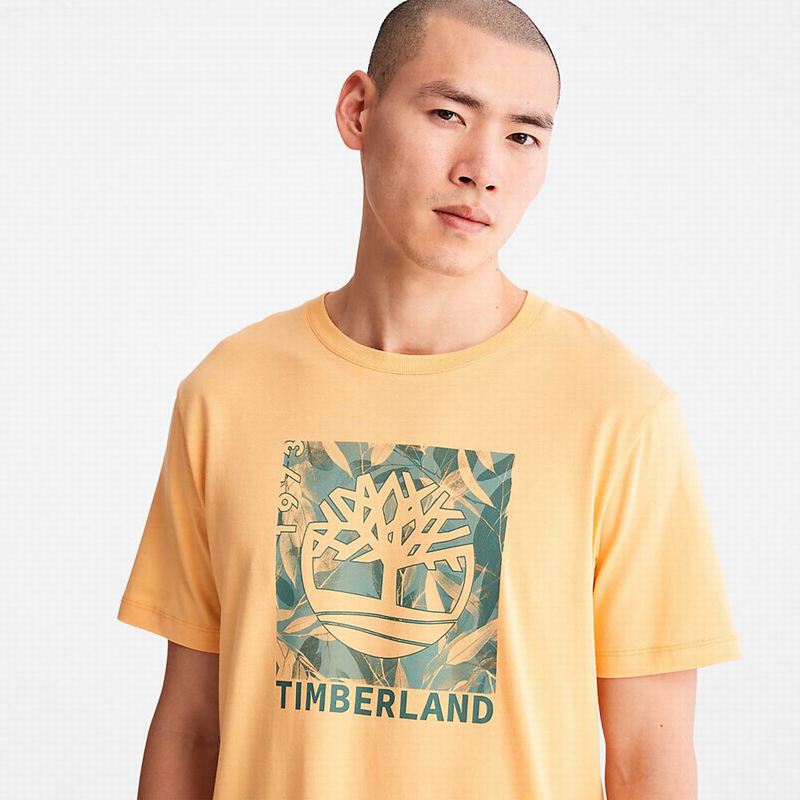 Timberland Raglan-sleeve Logo Majice Narančaste | 30266006