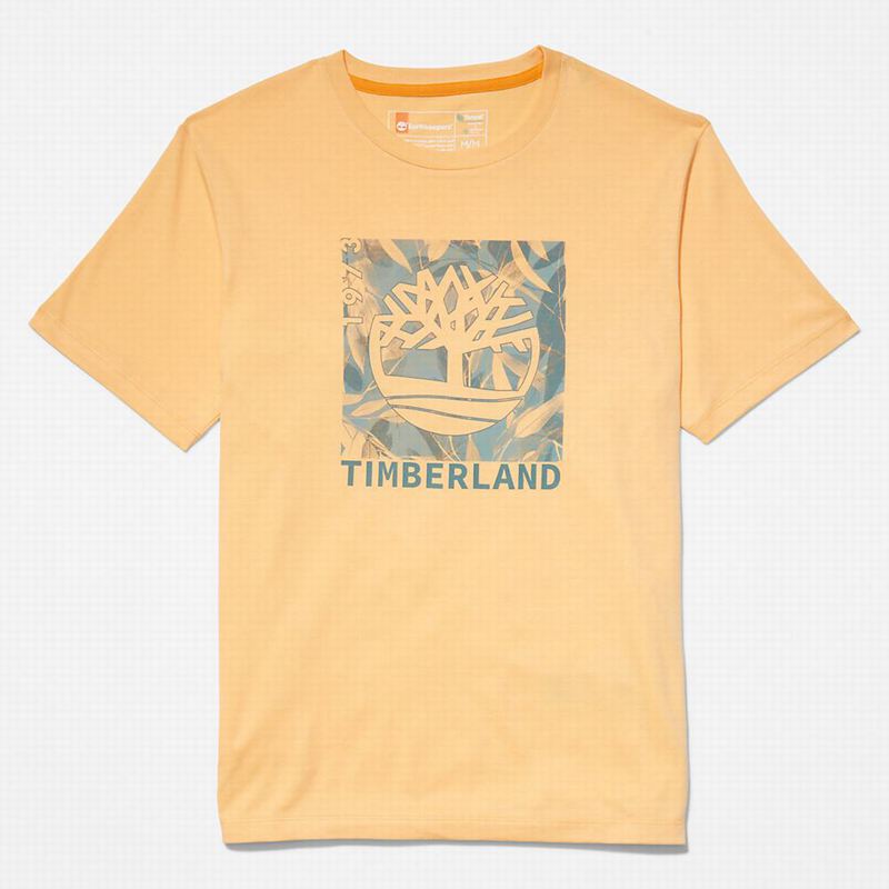 Timberland Raglan-sleeve Logo Majice Narančaste | 30266006