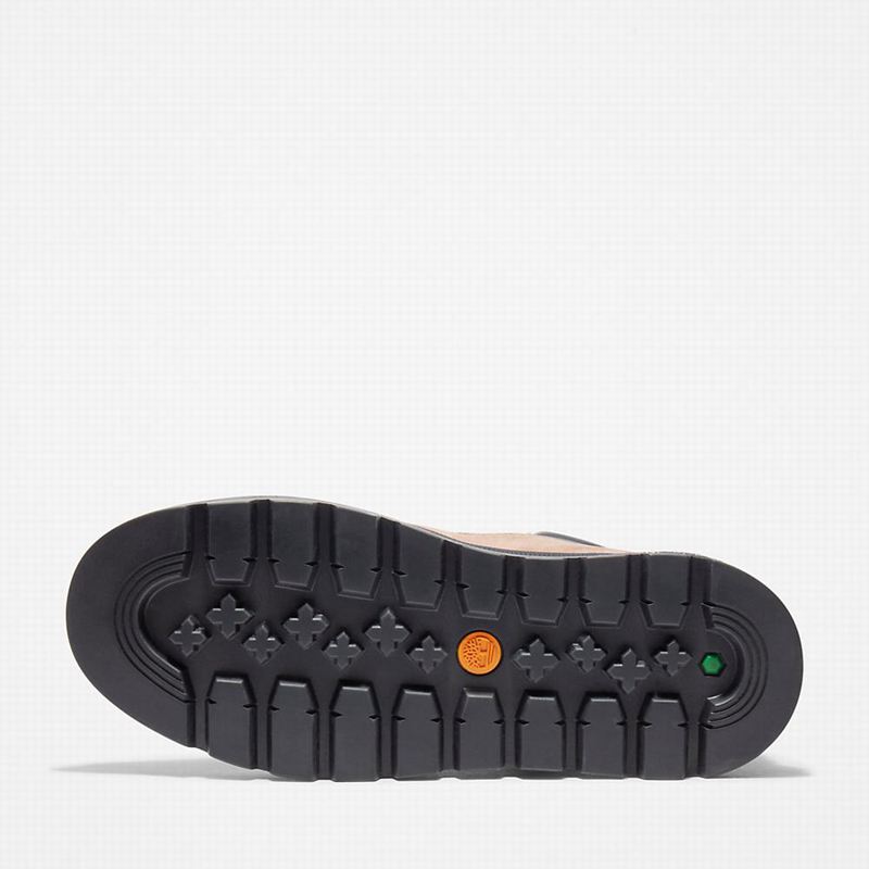 Timberland Ray City 6 Inch Čizme Smeđe | 24668887