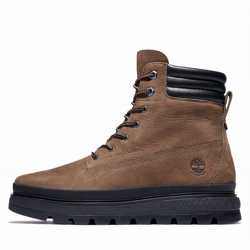 Timberland Ray City 6 Inch Čizme Smeđe | 87966785